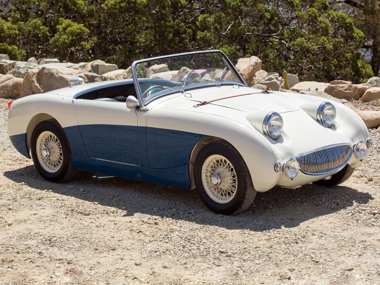 Austin Sprite