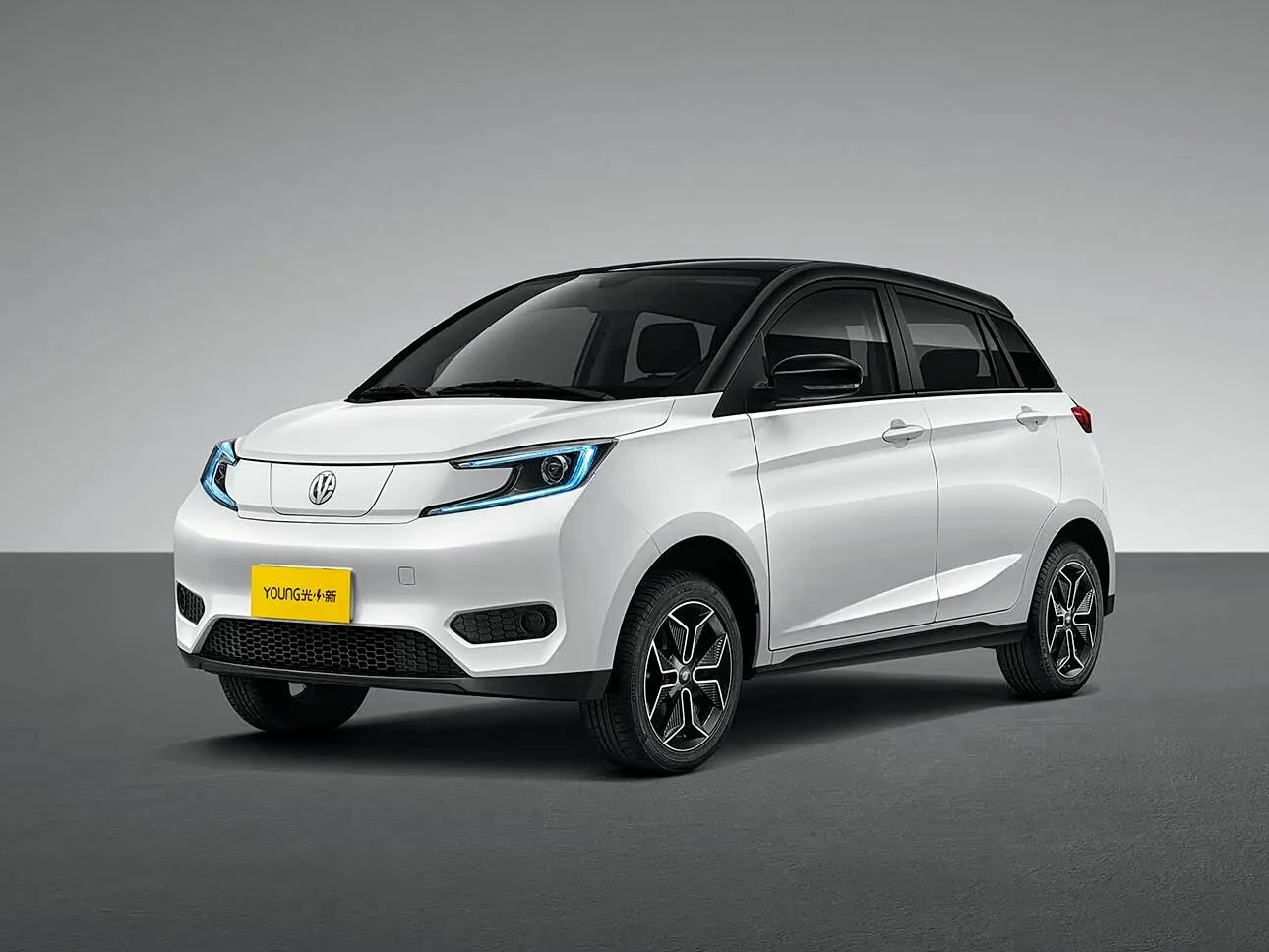 Dongfeng Young Guang Xiaoxin