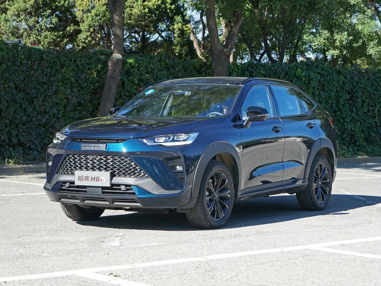 Haval H6S