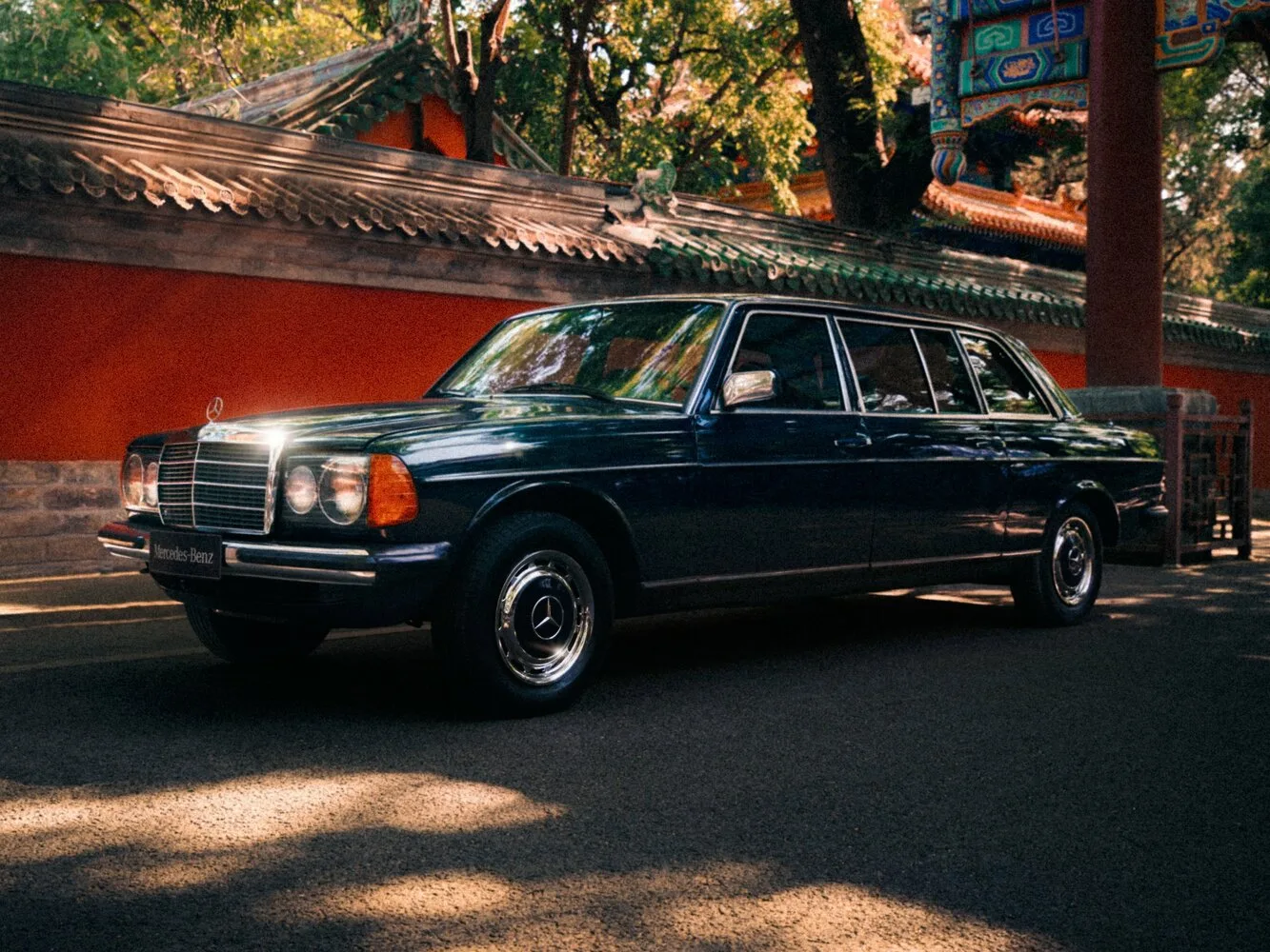 Mercedes-Benz W123