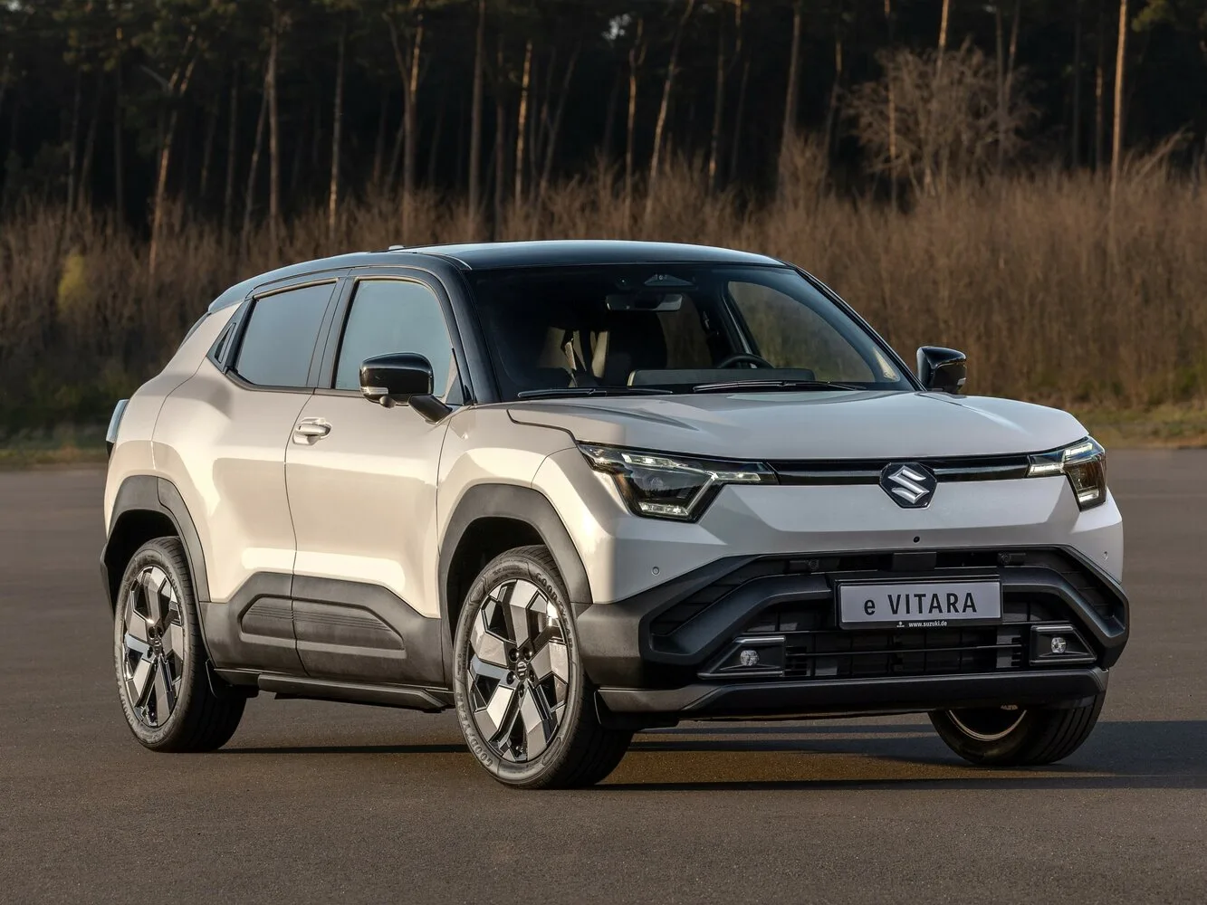 Suzuki e Vitara